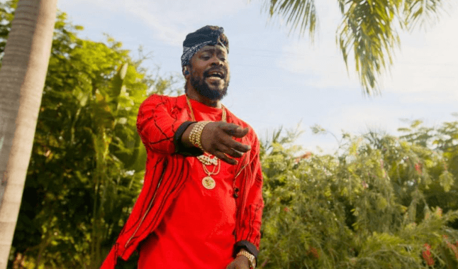 Beenie Man Net Worth