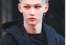 stray kids net worth